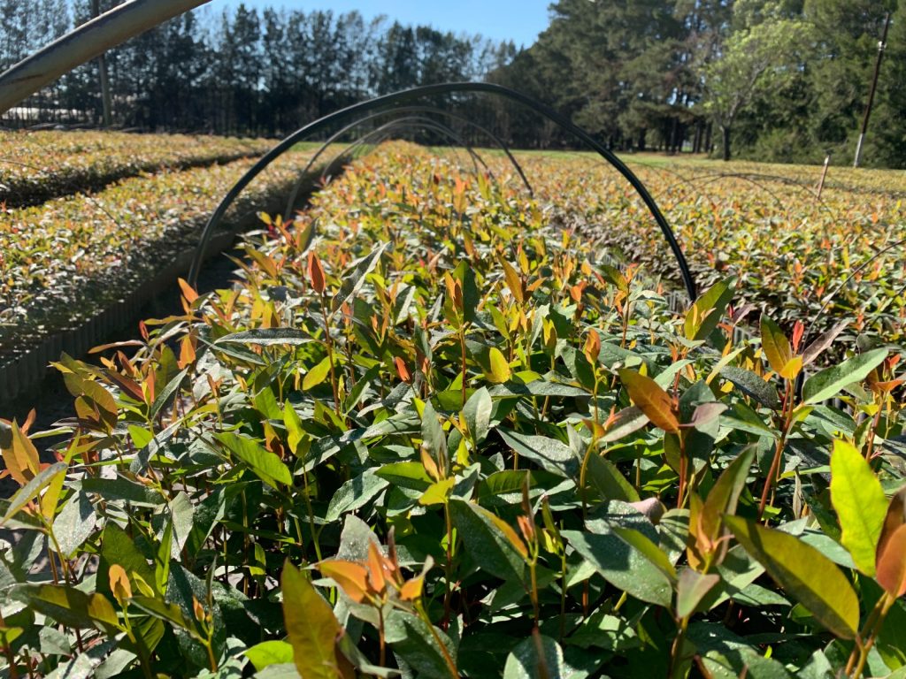 WhatsApp Image 2026-01-28 at 10.35.55 (1)