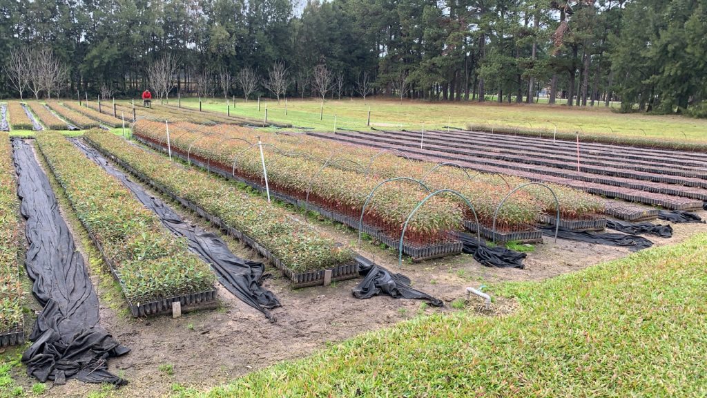 WhatsApp Image 2026-01-28 at 10.35.55