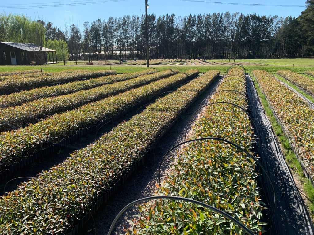 WhatsApp Image 2026-01-28 at 10.35.56 (1)